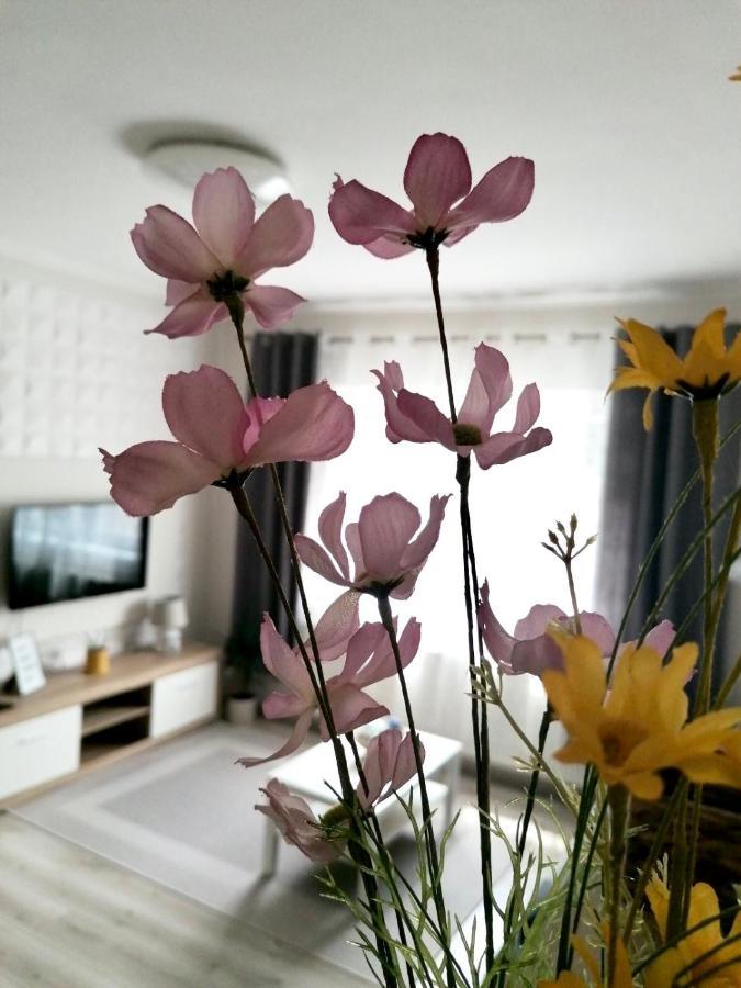 Sweet Central Apartment ,In The City Center Eger Bagian luar foto